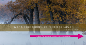 Schuhe für den Herbst in moderneren Farben wie pflaume, Beere und nuss